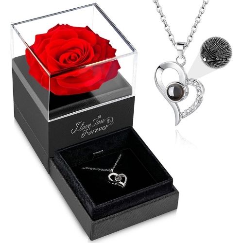 Preserved Eternal Rose in Glass Dome with Necklace Gift Set