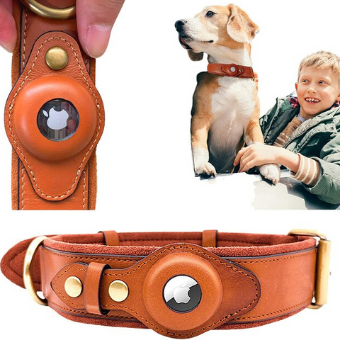 Leather AirTag Dog Collar