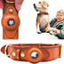 Leather AirTag Dog Collar