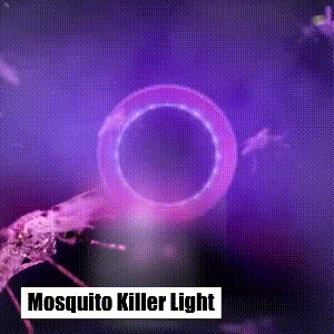 Non-Toxic Outdoor Mosquito Lamp